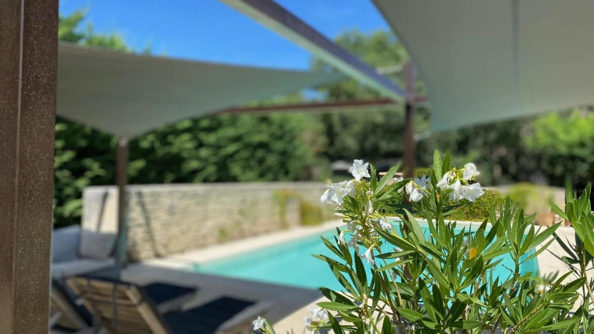 Mas Orea Cote Piscine Gordes France